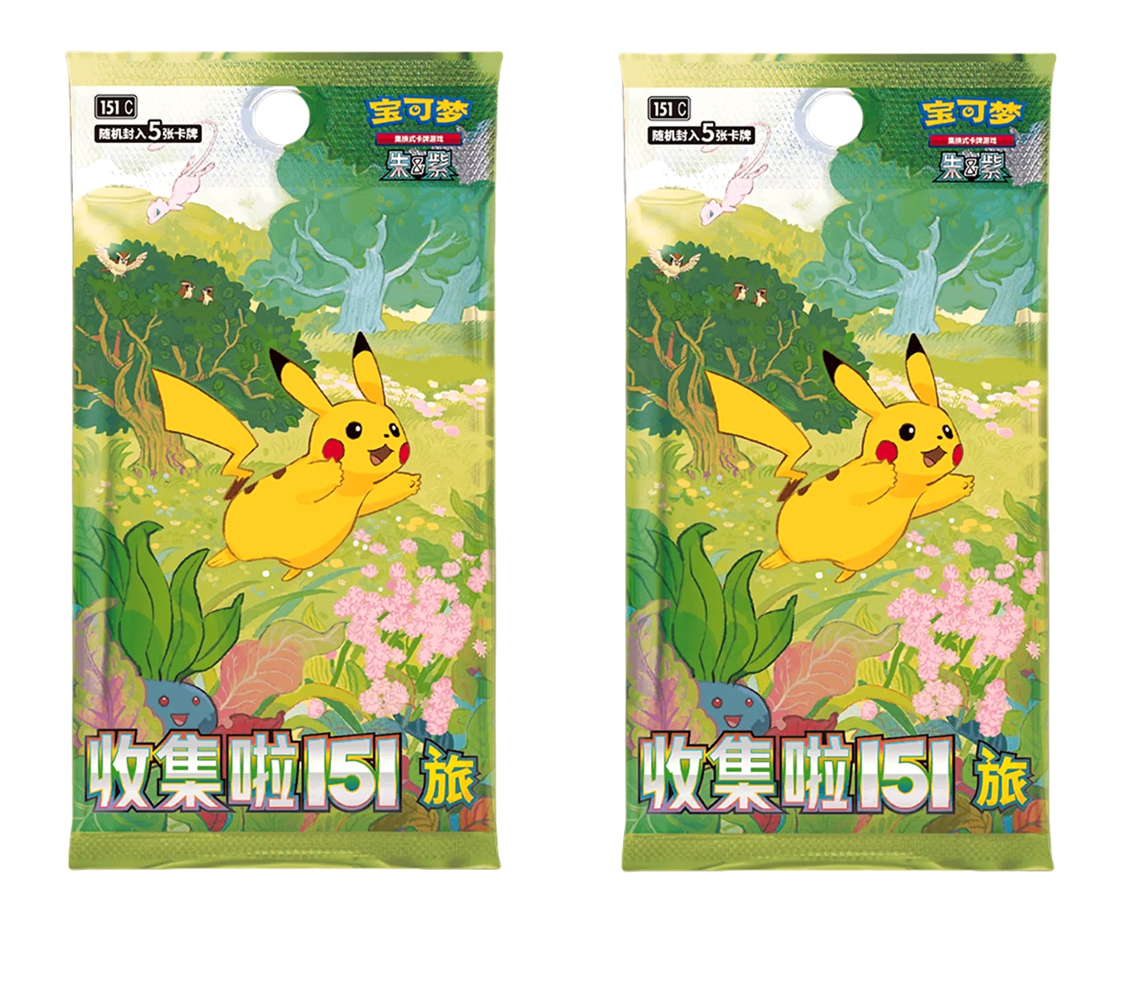 Bandai Pokemon TCG Dream Masterpiece Collection 151 Figure — interior detail