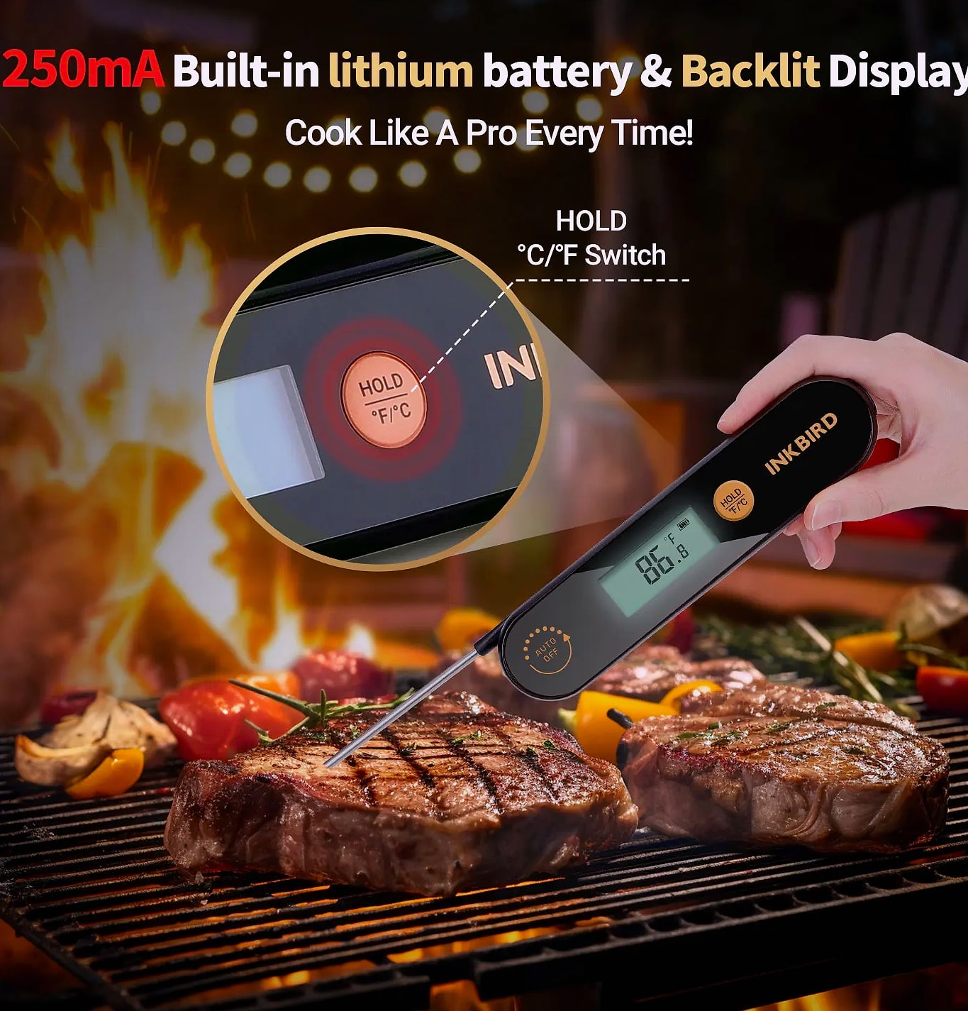 INKBIRD IHT-1X Meat Thermometer with Foldable Probes — close-up details