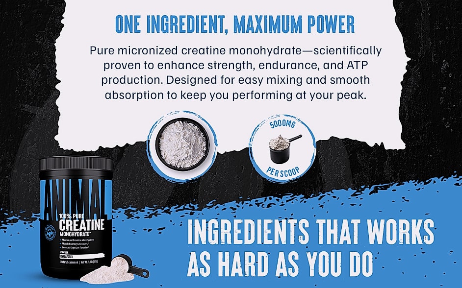 Animal Creatine Monohydrate Powder 300g Micronized — build progress