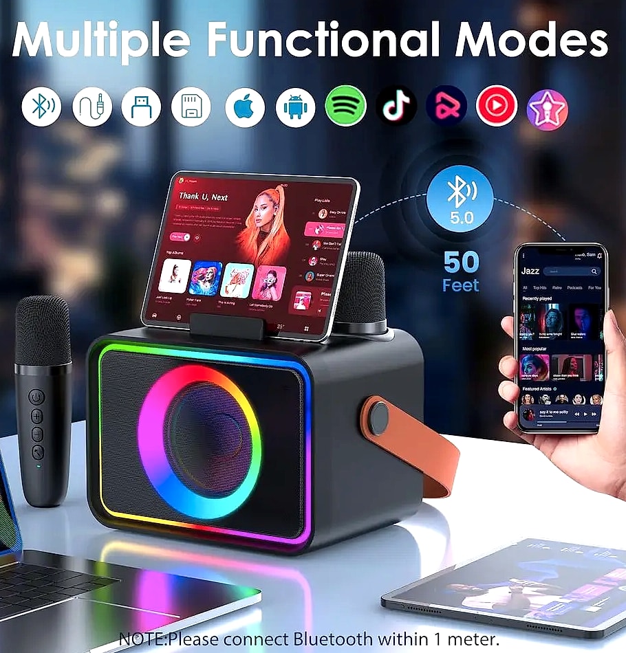 Portable Bluetooth Karaoke Speaker with 2 Wireless — feature highlights