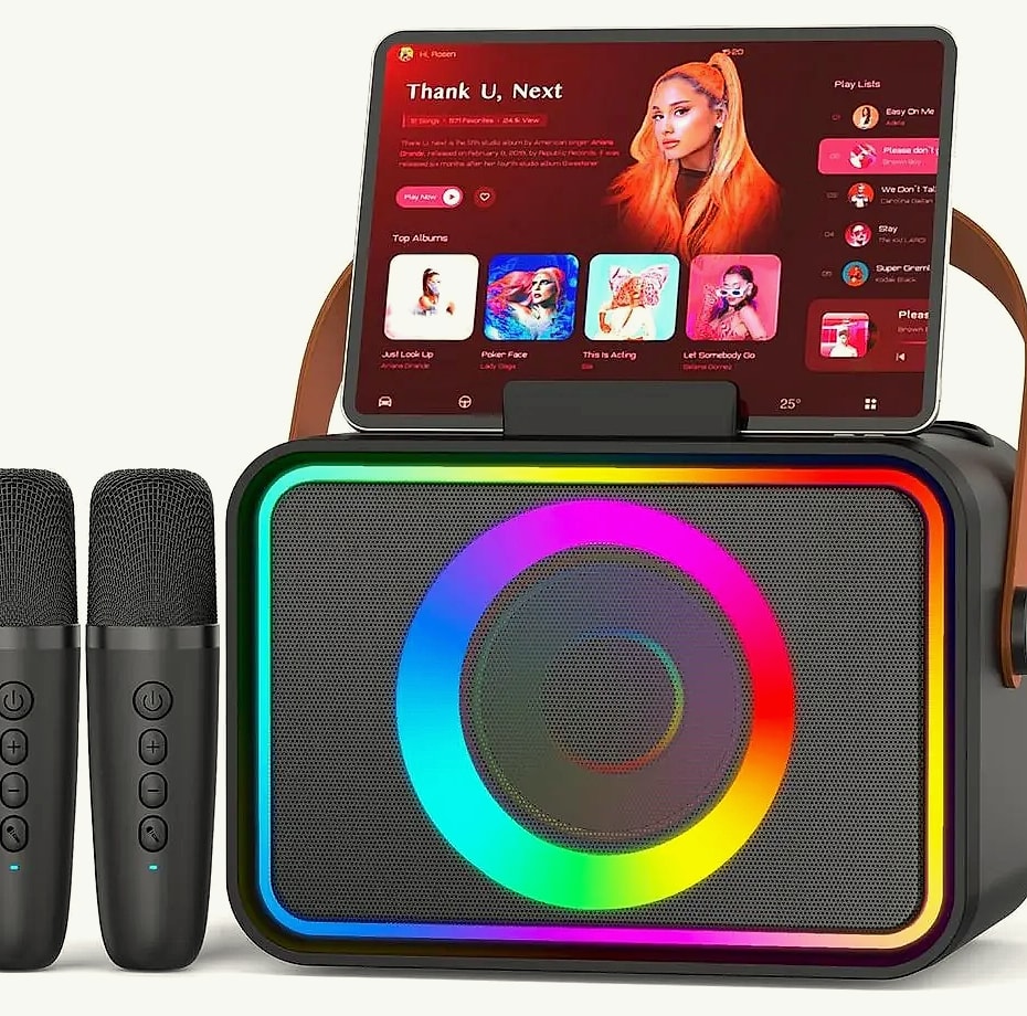 Portable Bluetooth Karaoke Speaker with 2 Wireless — package contents