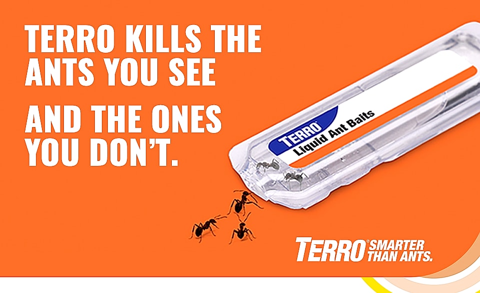 Terro T300B Liquid Ant Killer Bait Stations, 12 Count β package contents