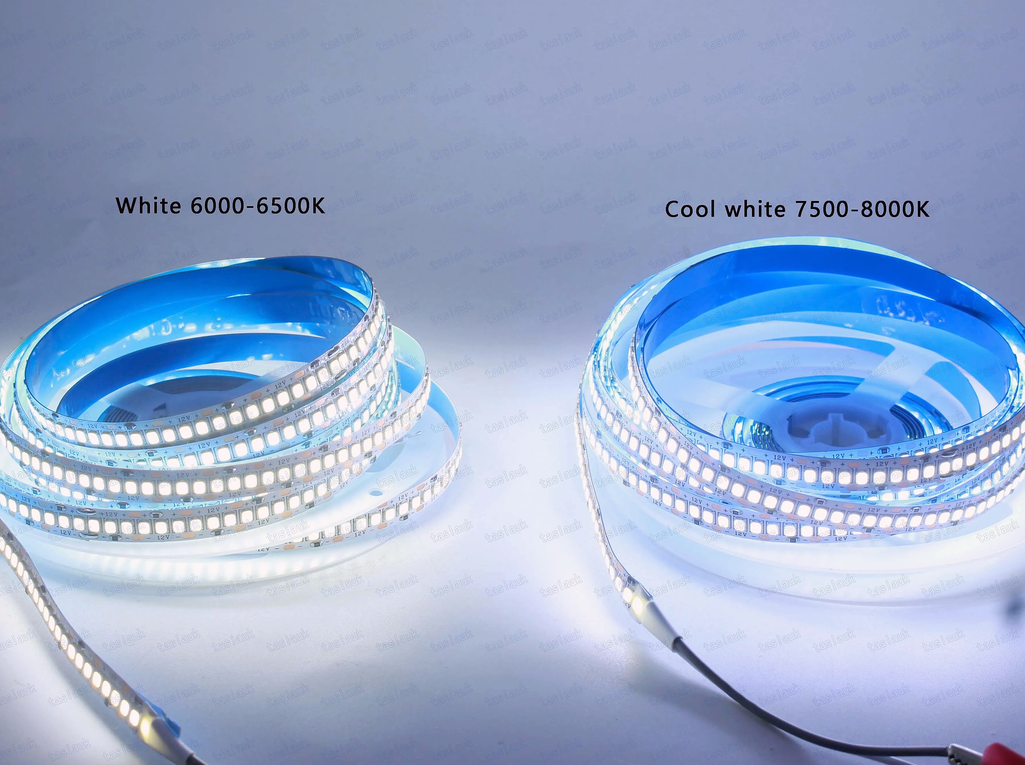 Taslauk 10mm PCB 2835 SMD LED Strip 240 leds/m 12V/24V — parts overview