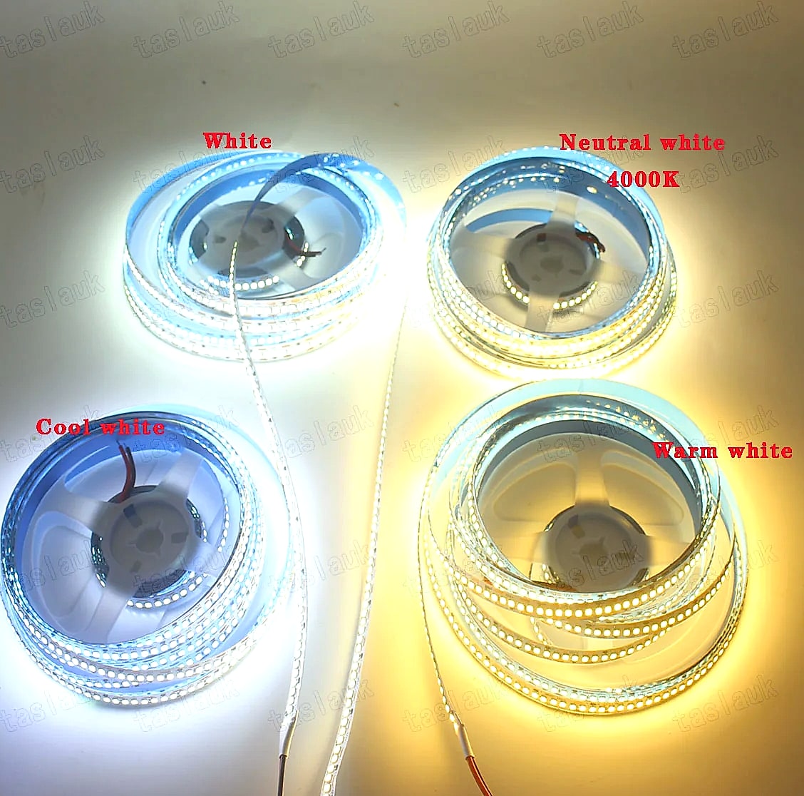 Taslauk 10mm PCB 2835 SMD LED Strip 240 leds/m 12V/24V — side view