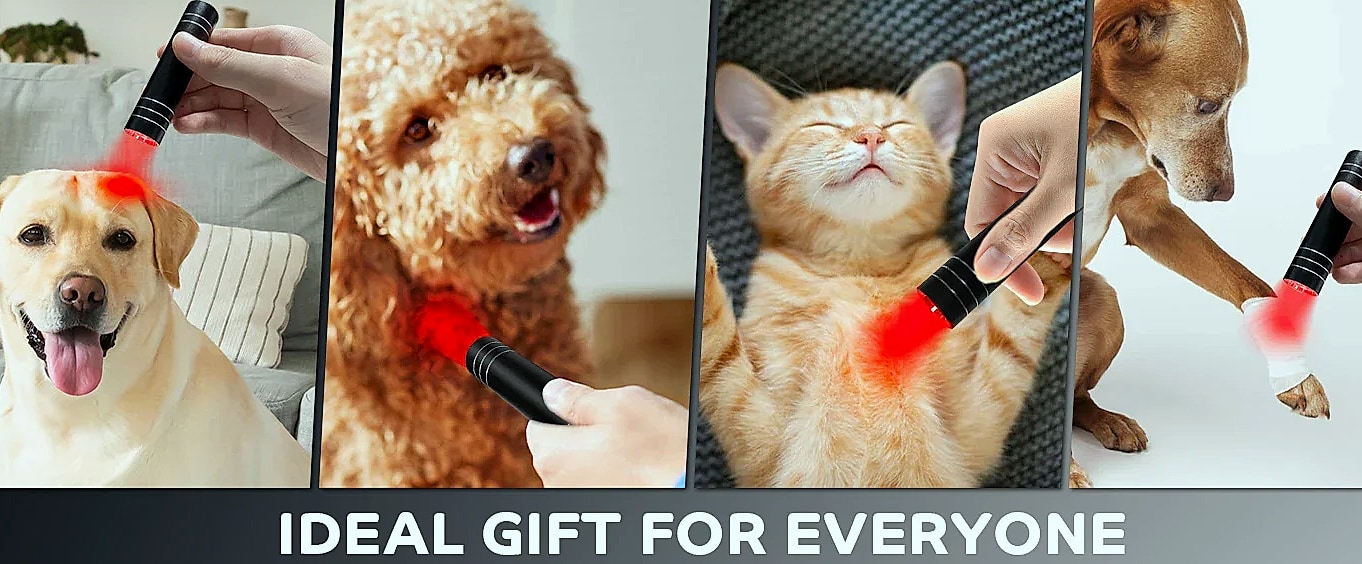 Vilnason Red Blue Light LED Therapy Flashlight — close-up details