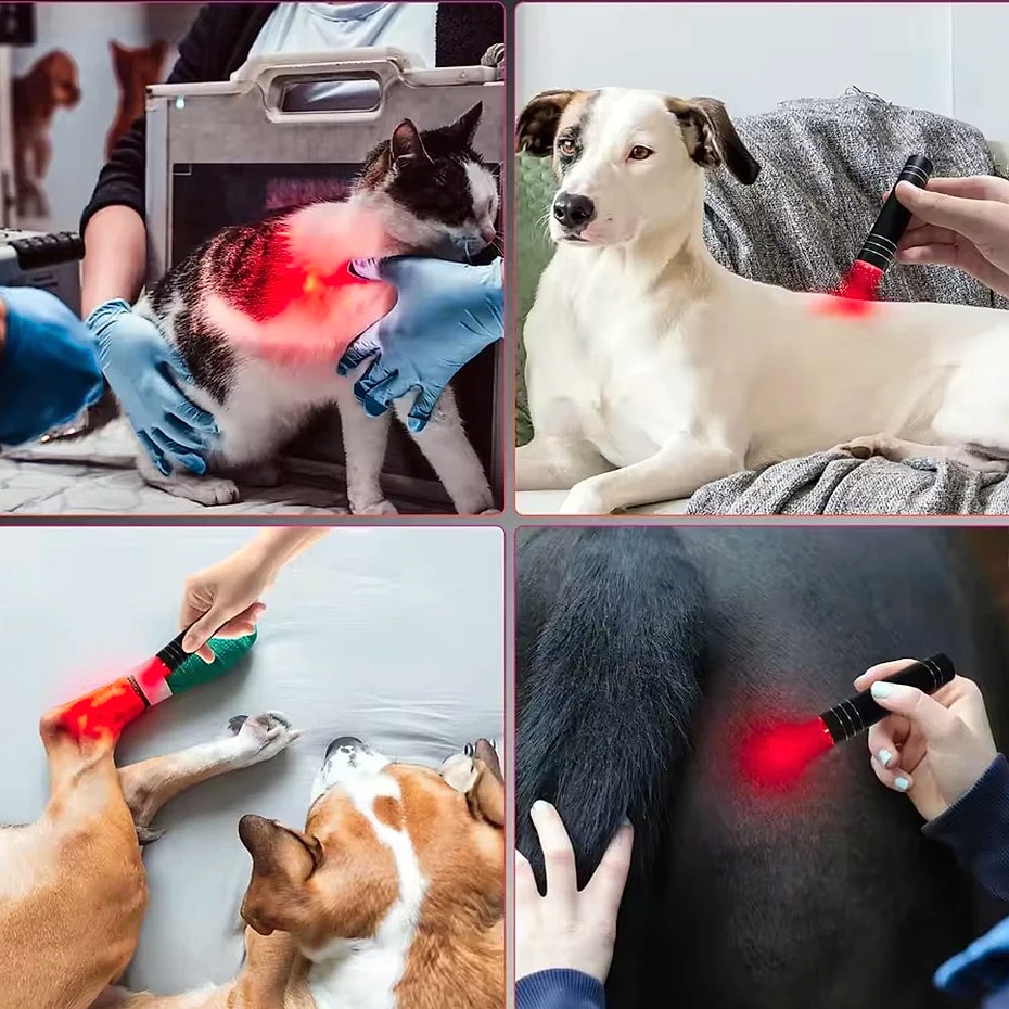 Vilnason Red Blue Light LED Therapy Flashlight — scale reference