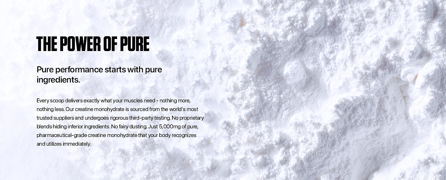 ALPHA LION Creatine Monohydrate Powder 5g Unflavored — package contents
