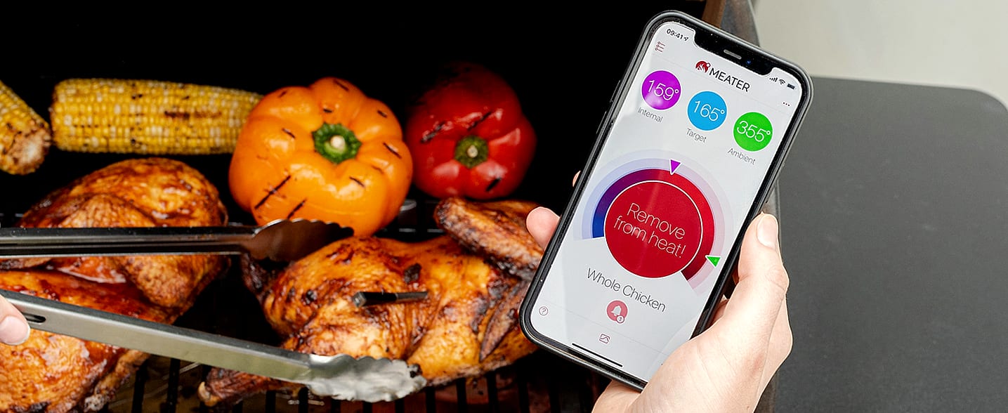 MEATER Plus Smart Bluetooth Meat Thermometer for Grill — parts overview