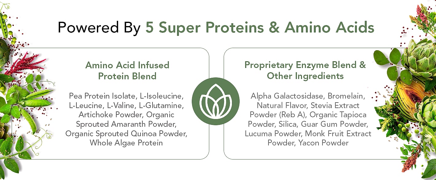 PlantFusion Complete Vegan Protein Powder Vanilla Bean 2 lb — package contents