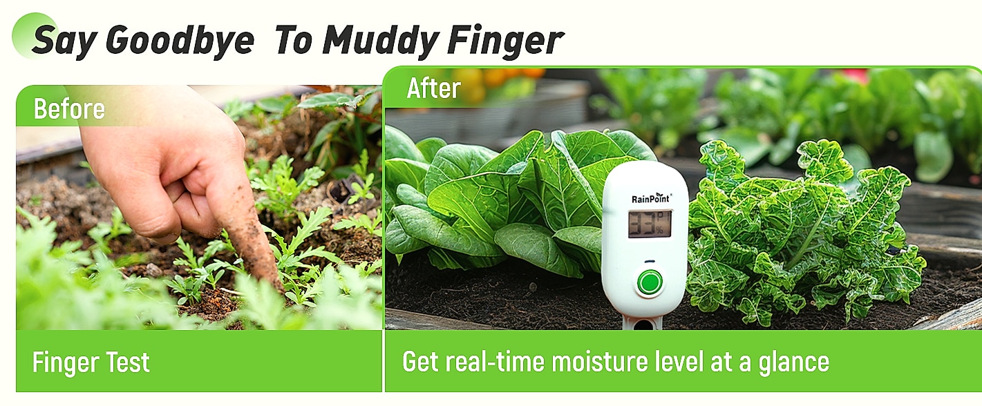 RAINPOINT Smart Wireless Moisture Meter with WiFi Hub Kit — assembled view