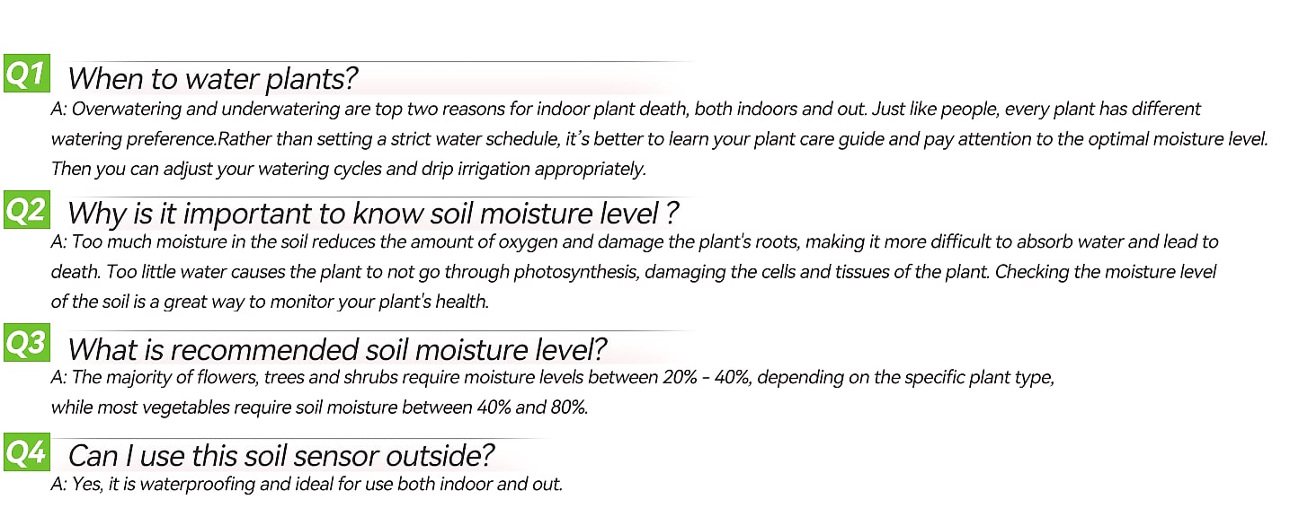 RAINPOINT Smart Wireless Moisture Meter with WiFi Hub Kit — scale reference