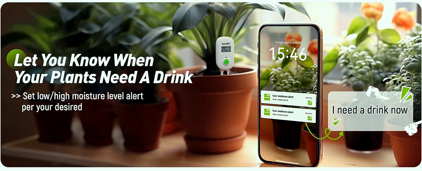 RAINPOINT Smart Wireless Moisture Meter with WiFi Hub Kit — parts overview